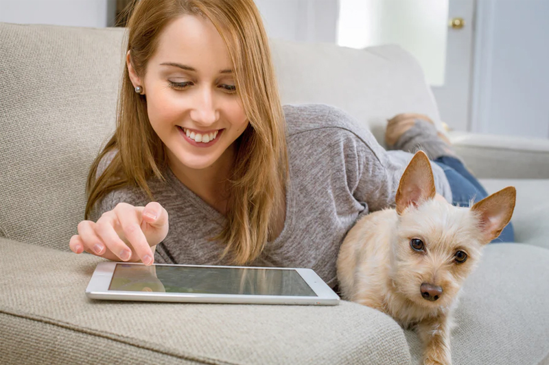 A Pet Owner’s Guide to Long Lasting Carpets