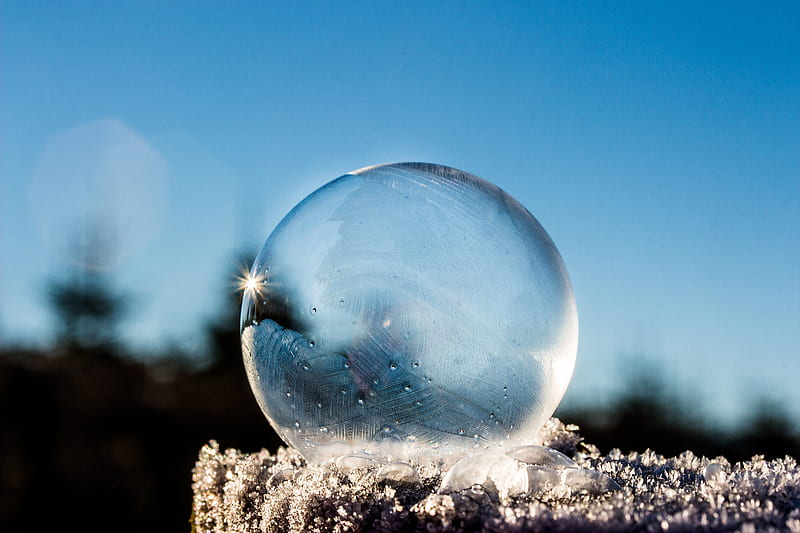 Reasons to Have Your Carpets Cleaned Before Winter