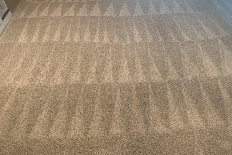 Carpet Cleaning